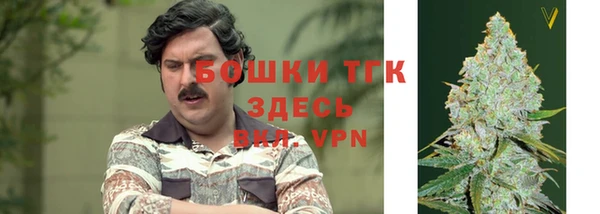 первитин Лабытнанги
