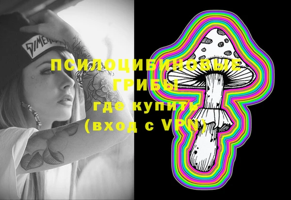 ешки Лагань