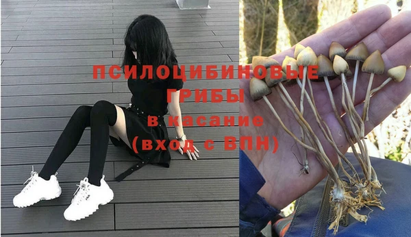 jwh Ладушкин