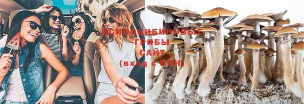 ешки Лагань