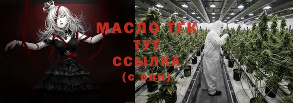 первитин Лабытнанги