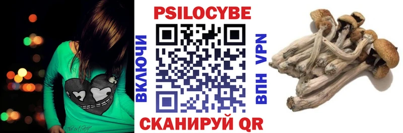 Галлюциногенные грибы Cubensis  Купить закладки  Кострома 